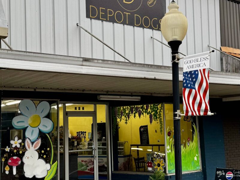 Depot dogs & Ice-cream
